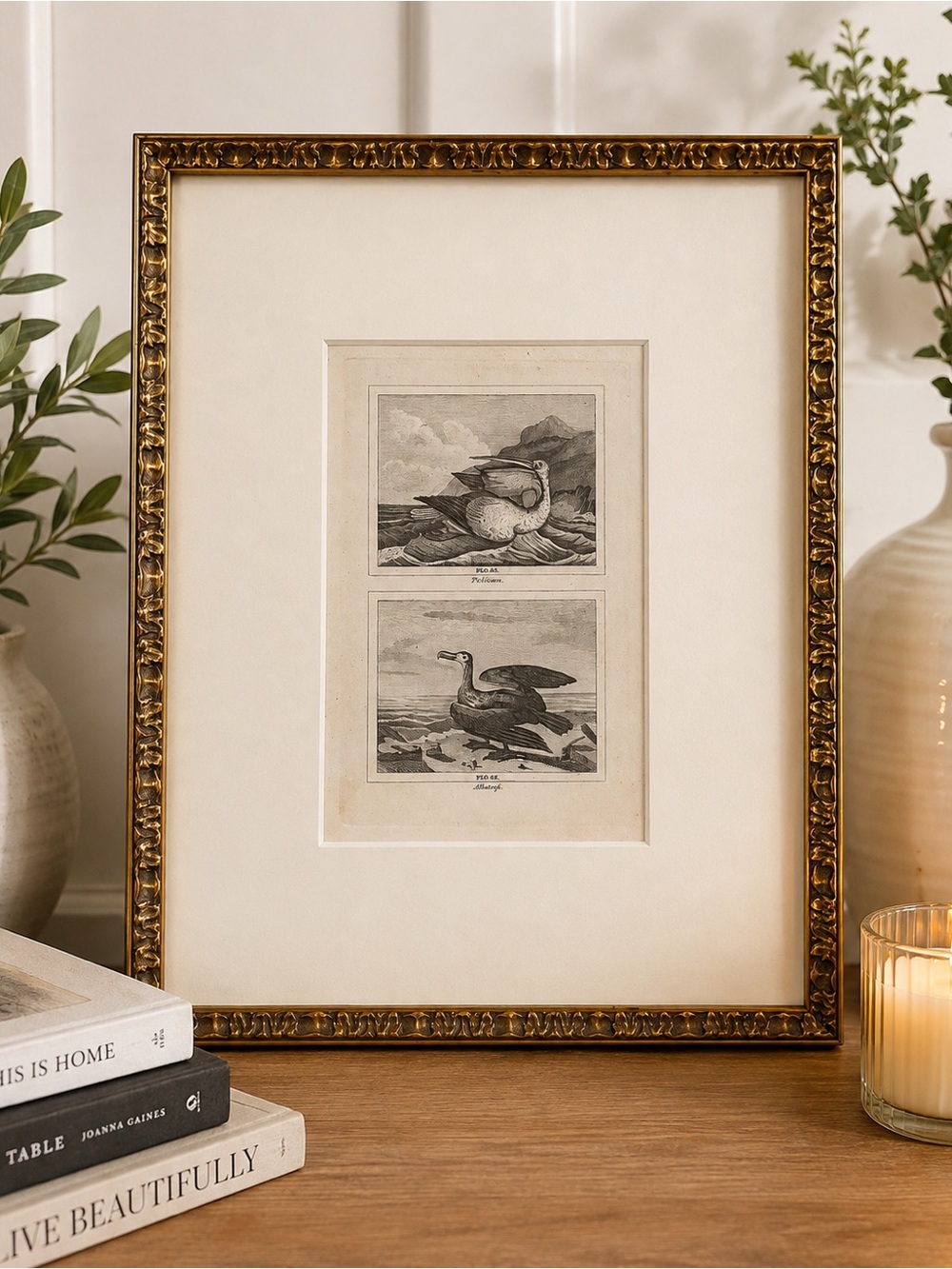 Vintage Style Gold Ornate Framed Bird Art Print - Home Art